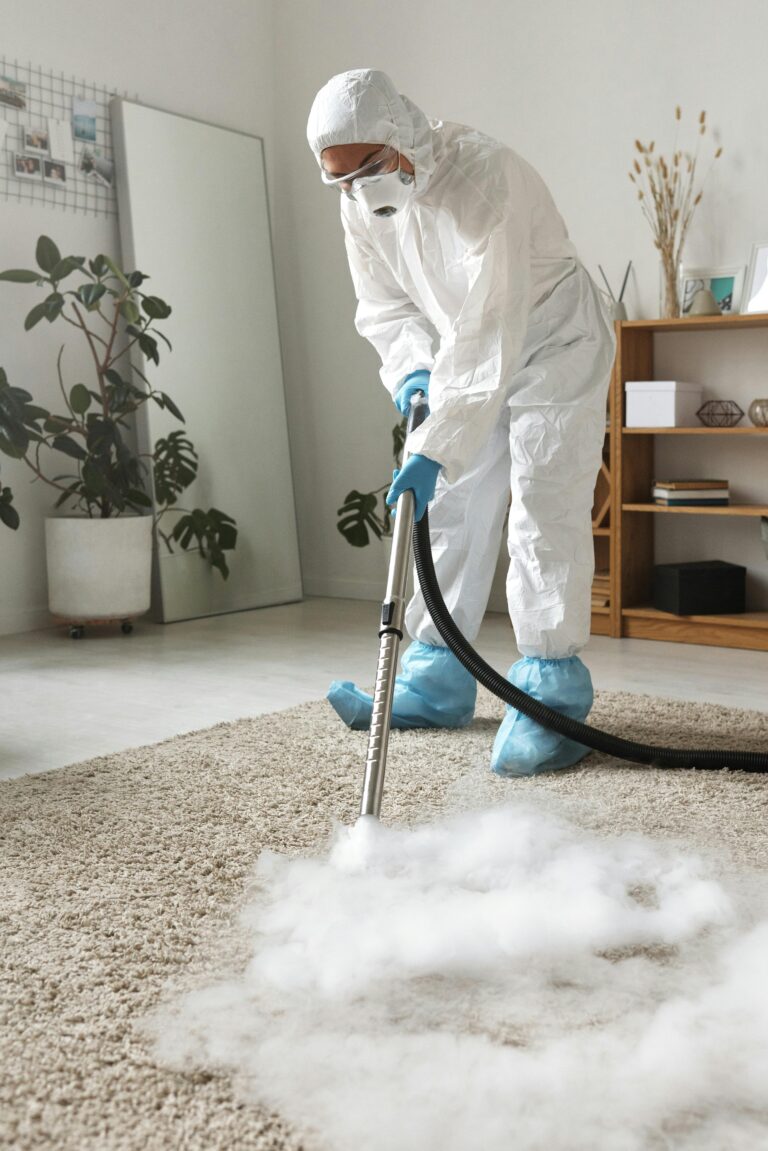 Carpet Cleaning Business with Expert PPC